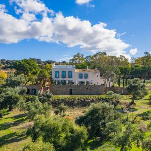Cata de aceites ecológicos y degustación con pan artesanal